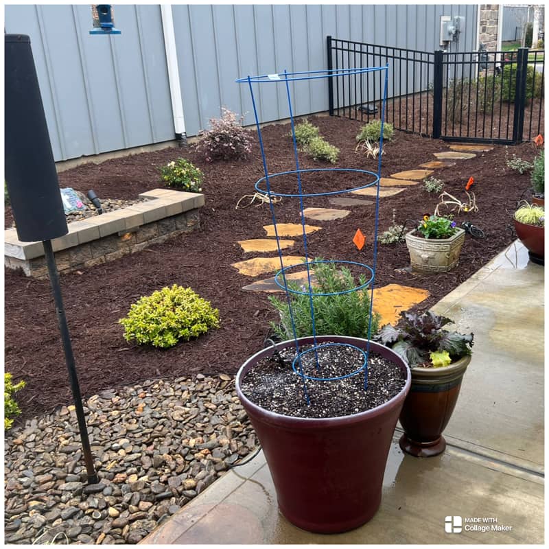 Landscape Planting, Concord, NC