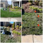 Landscape Drainage in Concord, North Carolina