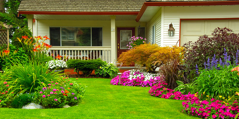 3 Front Yard Landscaping Tips to Level Up Your Curb Appeal